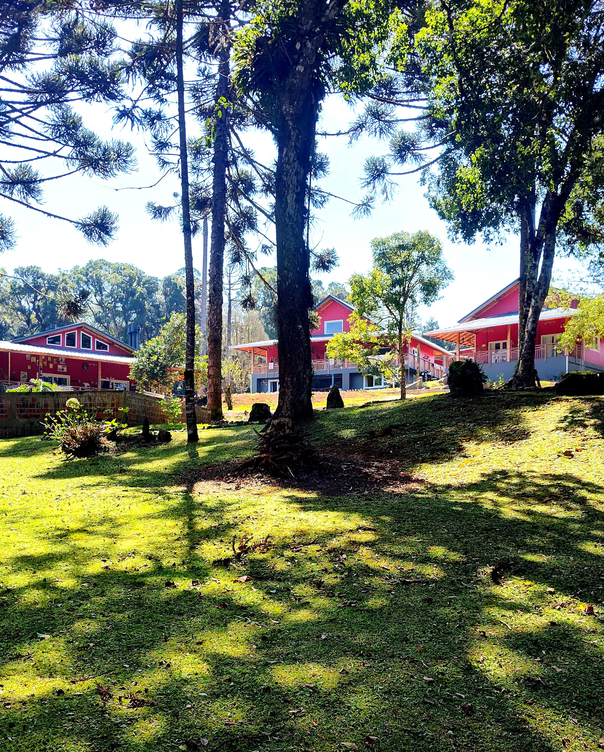 Cabana Tapili — vista da propriedade com araucárias e casinha vermelha na Serra Catarinense